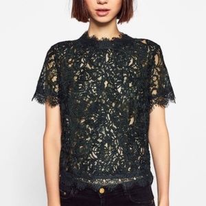 Zara Forest Green Embroidered Lace Blouse
